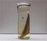藏品(香魚)的圖片